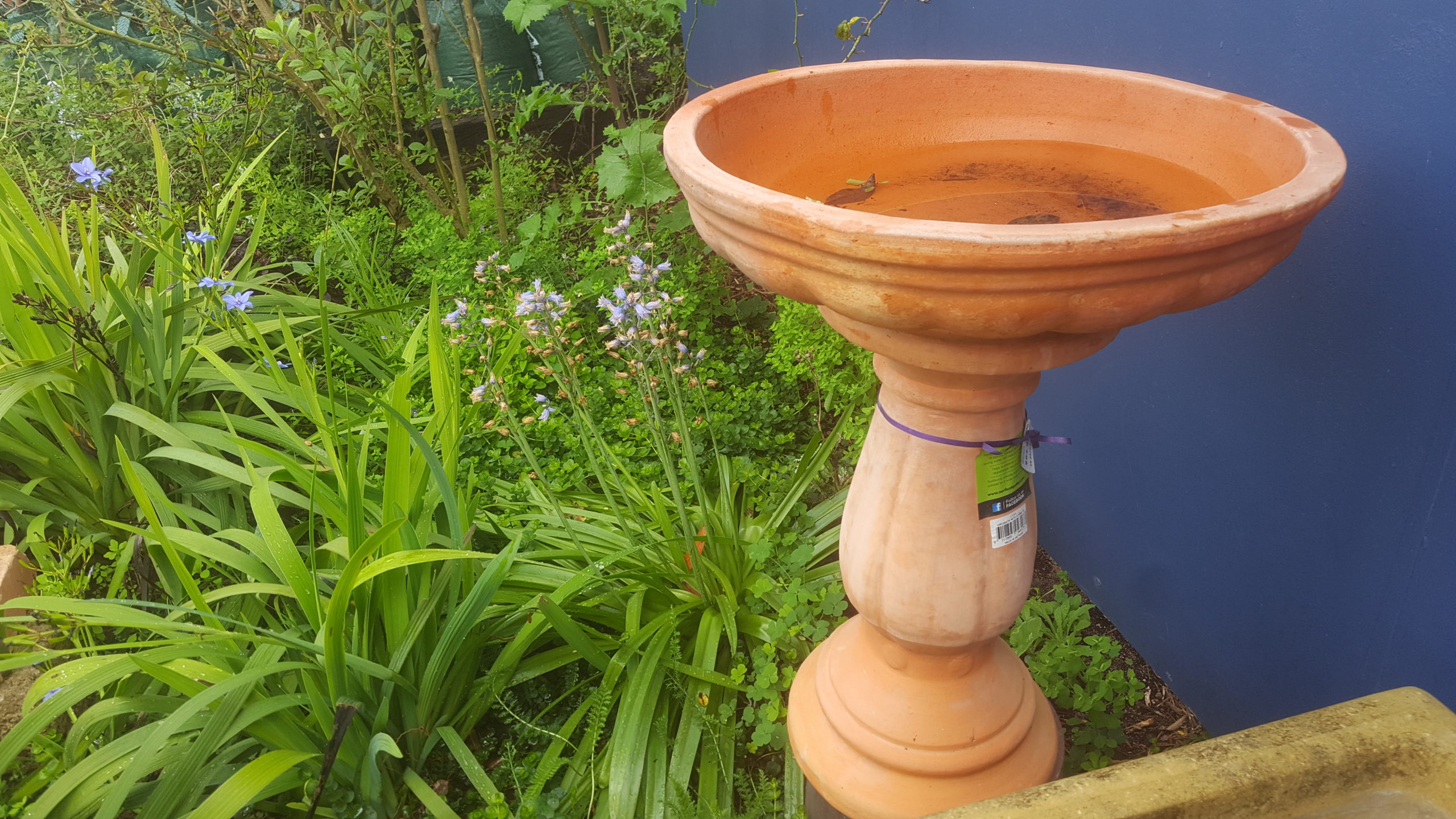 Water Bowls Bird Baths Perth Wa Guildford Garden Centre Birdbath Terracotta