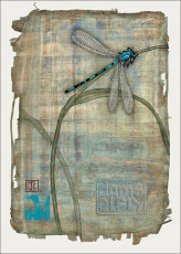 Damselfly Card