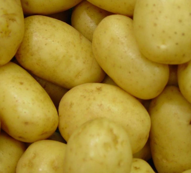 How to Grow Potatoes in Perth Guildford Garden Centre