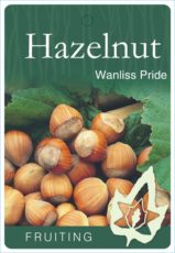 Hazelnut Wanliss Pride