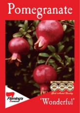 Pomegranate Wonderful