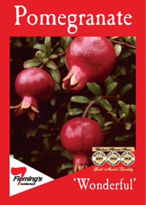 Pomegranate Wonderful Pomegranate Wonderful