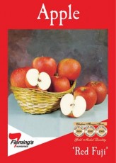 Apple 'Red Fuji'