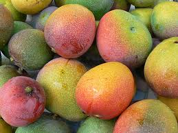  How To Grow Mangoes in Perth