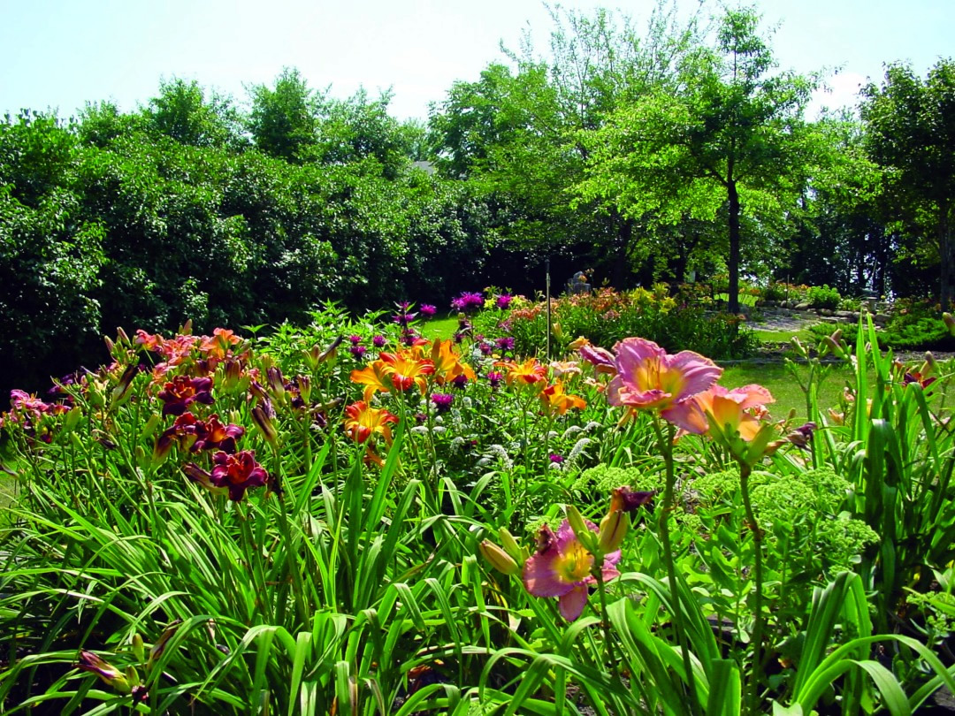 Guildford Online Garden Centre Perth, WA