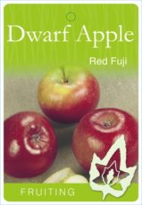 Apple "Red Fuji" Dwarf